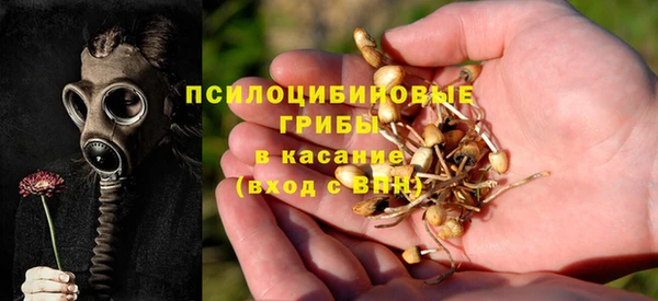 дживик Алексеевка