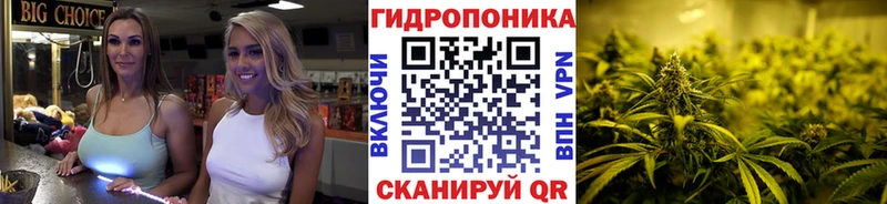 Бошки Шишки план  blacksprut зеркало  Лаишево  нарко площадка как зайти  закладка 